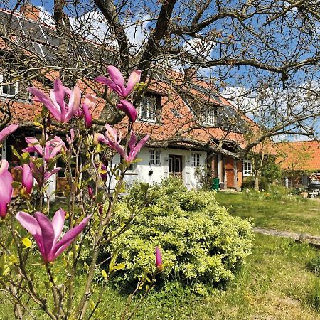 Ferienhof Rauchhaus Karft Kültér fotó