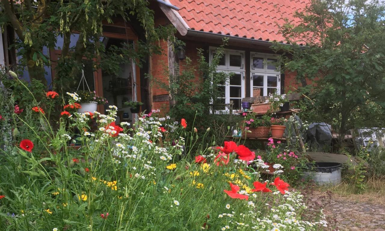 Ferienhof Rauchhaus Karft Kültér fotó